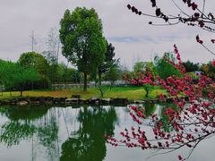 -兰亭风景区