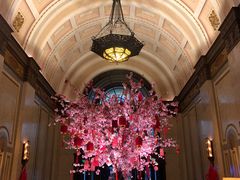 -上海和平饭店华懋阁 Cathay Room