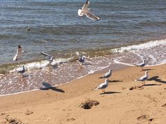 -老虎石海上公园