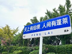 -蓬莱阁景区