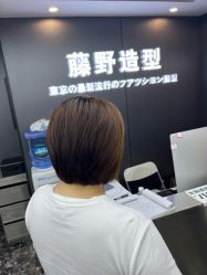 -藤野造型烫染优质