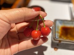 -石葵(锦业时代店)