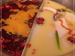 -九鼎轩脆毛肚火锅(三钢里店)