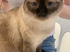 -藏猫猫咖啡主题馆(中央大道店)