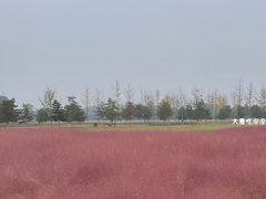 -汉长安城未央宫国家考古遗址公园