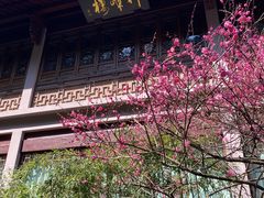 -十八棵（老龙井）御茶园(老龙井店)