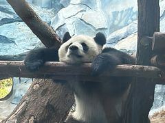 -乐和乐都主题乐园