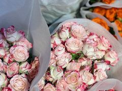 -循礼门鲜花花市(武汉循礼门店)