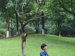 -重庆彩云湖湿地公园