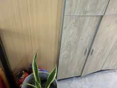 -半岛宠物医院24小时·内窥镜·牙科·碎石中心(府城大道店)