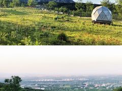 -紫云台香草园