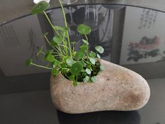 -柒厢食事雅谈