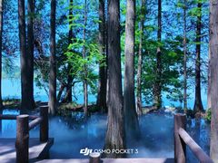 -东湖落雁景区