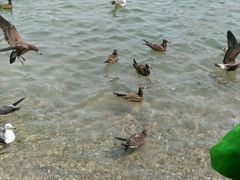 -海驴岛(荣成市)