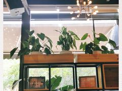 大堂-桉树林A coffee 森林餐厅(三圣乡店)