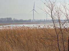-野鸭湖国家湿地公园