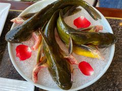 -皇城老妈火锅·川味传承(港湾店)