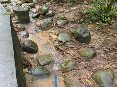 -火炉山森林公园