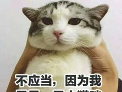 -陈氏肥蛤(小纬六路总店)