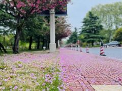 -河南省黄河迎宾馆