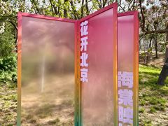 -元大都城垣遗址公园