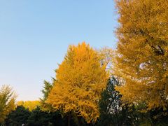 -玲珑塔公园