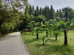 -范蠡湖公园