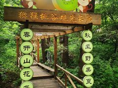 -大岭沟猕猴桃谷风景区