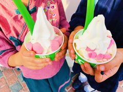 -Salud撒露欧洲冻酸奶(蓝色港湾店)