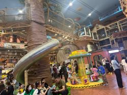 -卡通尼·Safari非洲探索乐园·生日会(金桥国际商业广场店)