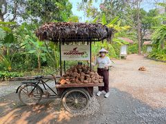 -大象粑粑造纸公园