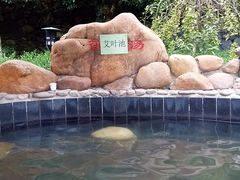 -宜春明月山维景国际温泉度假酒店