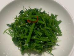 -觀芷隐轩