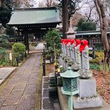 无名的神社，读书的花园