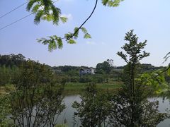 -铁山坪森林公园