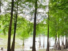 -梅州天地人花园酒店(梅县人民广场店)