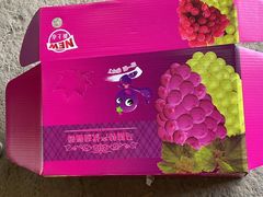 -马陆小张葡萄园农家乐