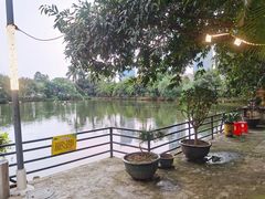 鱼塘-绿雅居原生态农庄(小涌店)