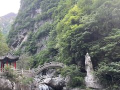 -陕西省红河谷森林公园