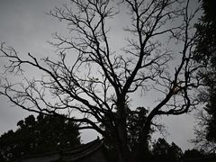 -建水文庙