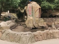 -哈尔滨北方森林动物园