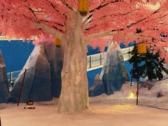 -长沙湘江欢乐雪域