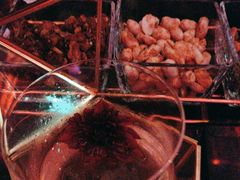 -云·酷Atmosphere(国贸大酒店)