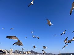 -黑石礁公园