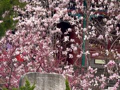 -潭柘寺景区