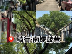 -南锣鼓巷