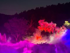 -《神游传奇》秀