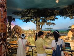 -国家自然博物馆