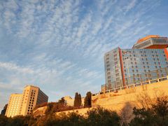 -三里屯东五街银杏大道