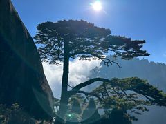 -黄山风景区